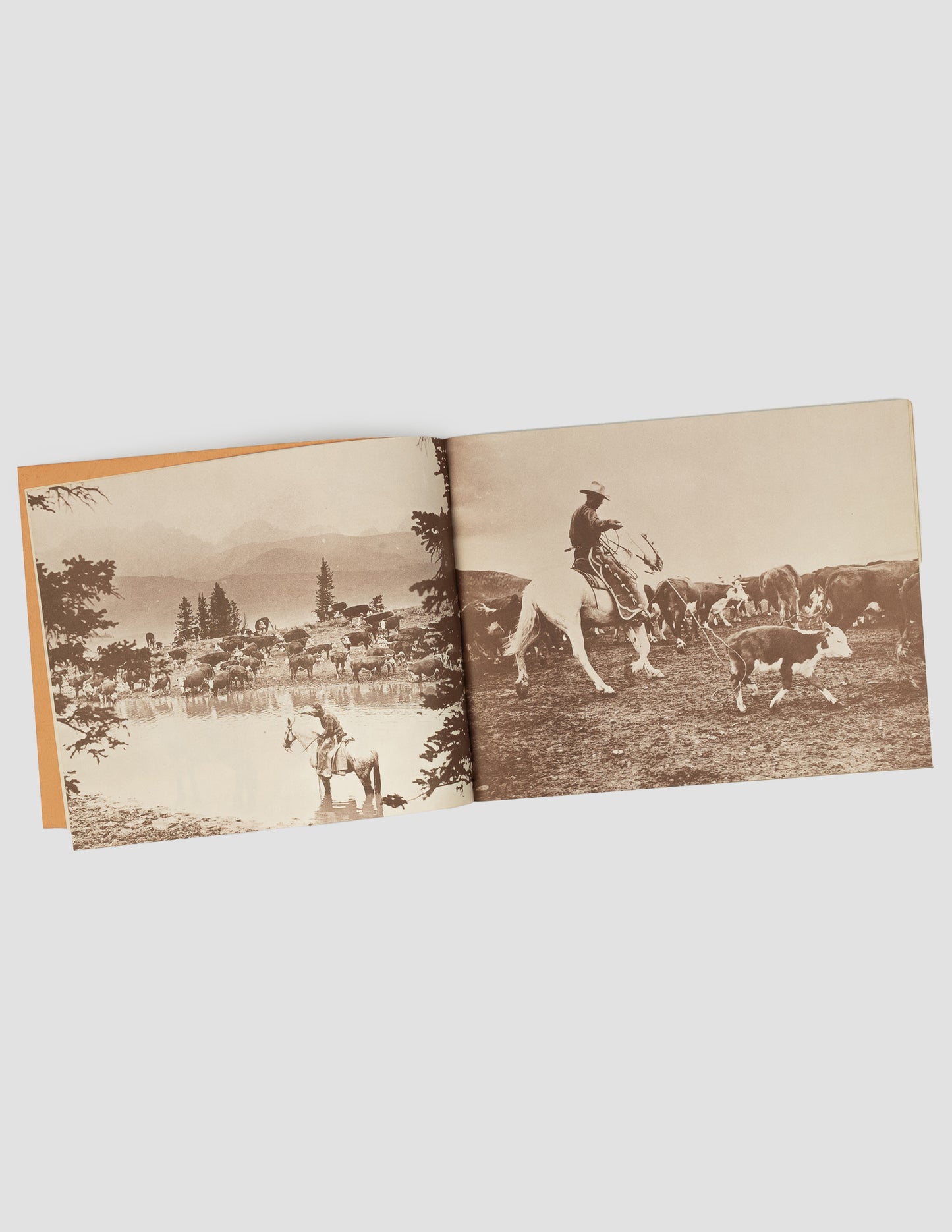 1975 "Cowboy" Special Exhibition Catalogue