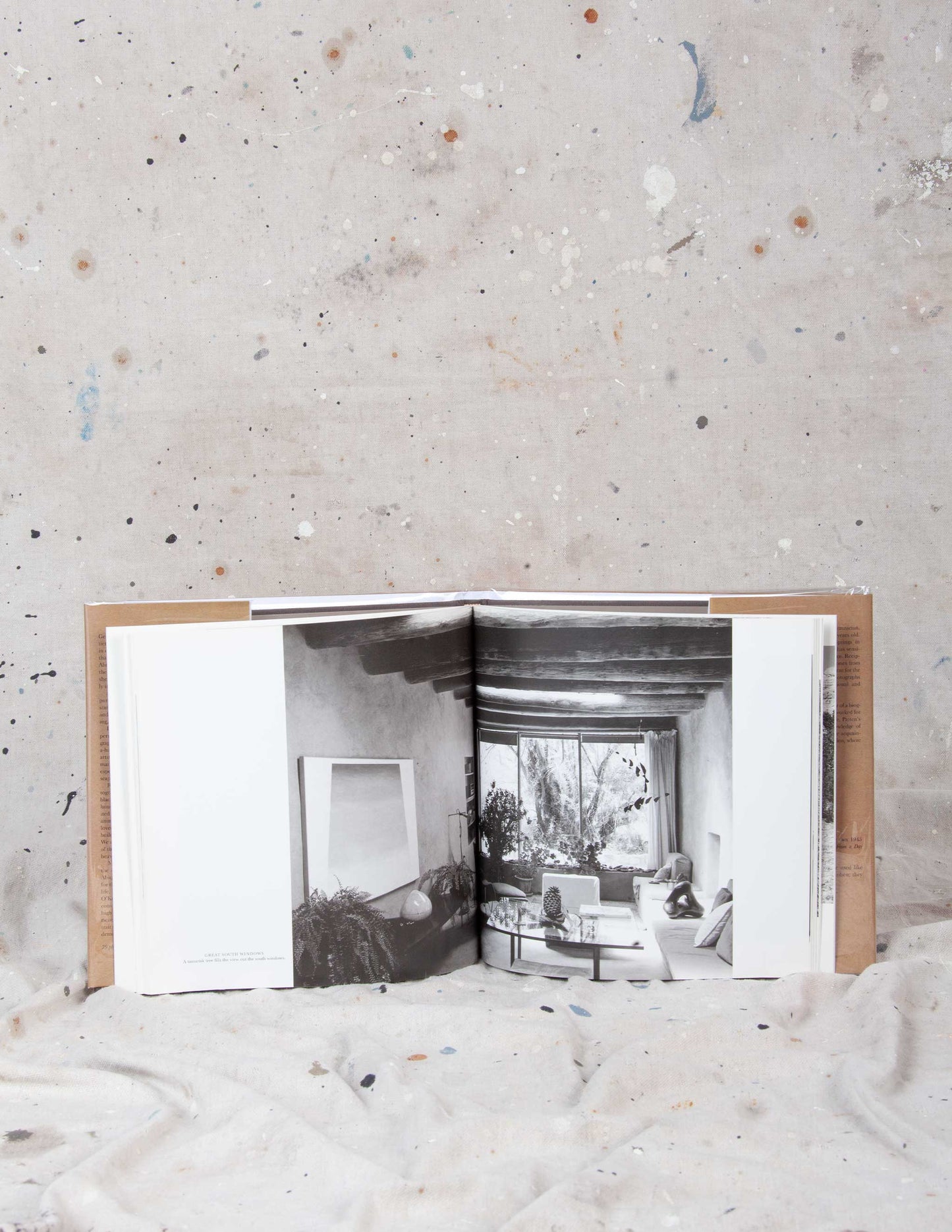 O'Keeffe at Abiquiu ©1995