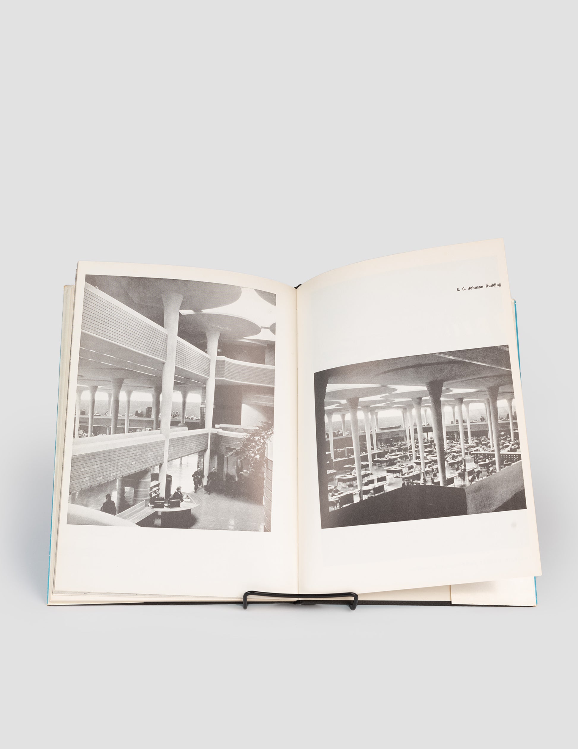 Rivay Vintage An Organic Architecture by Frank Lloyd Wright