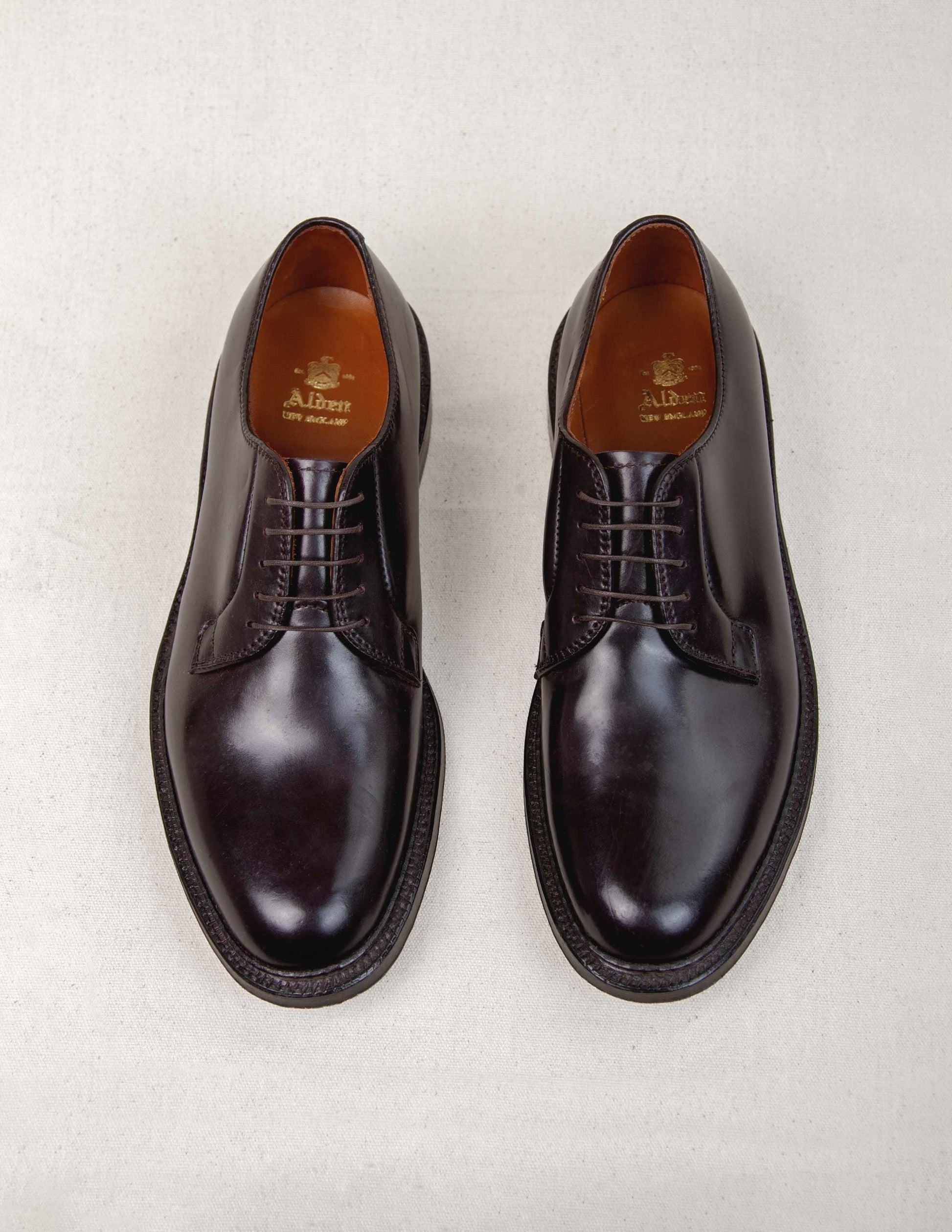 Alden Plain Toe Blucher 990 in Shell Cordovan